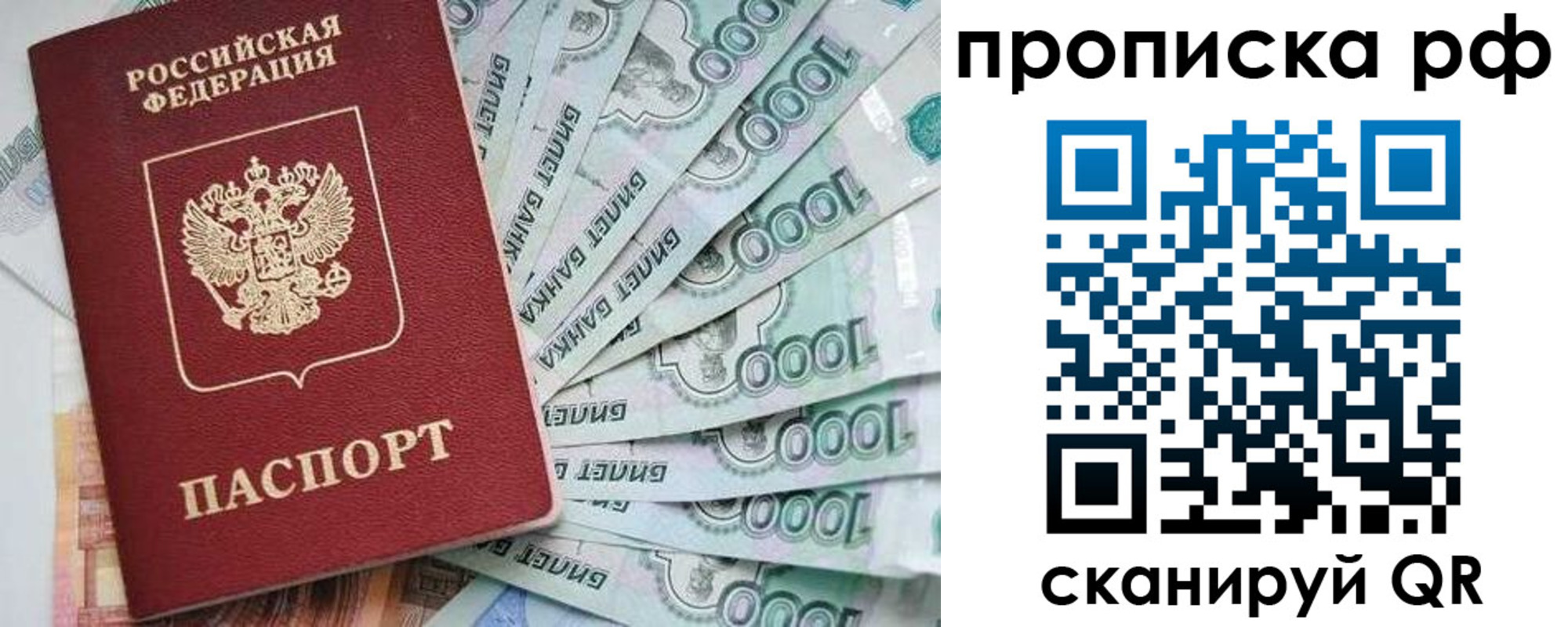 прописка законно в Зеленогорске